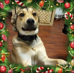 Meet your Posher, Linda